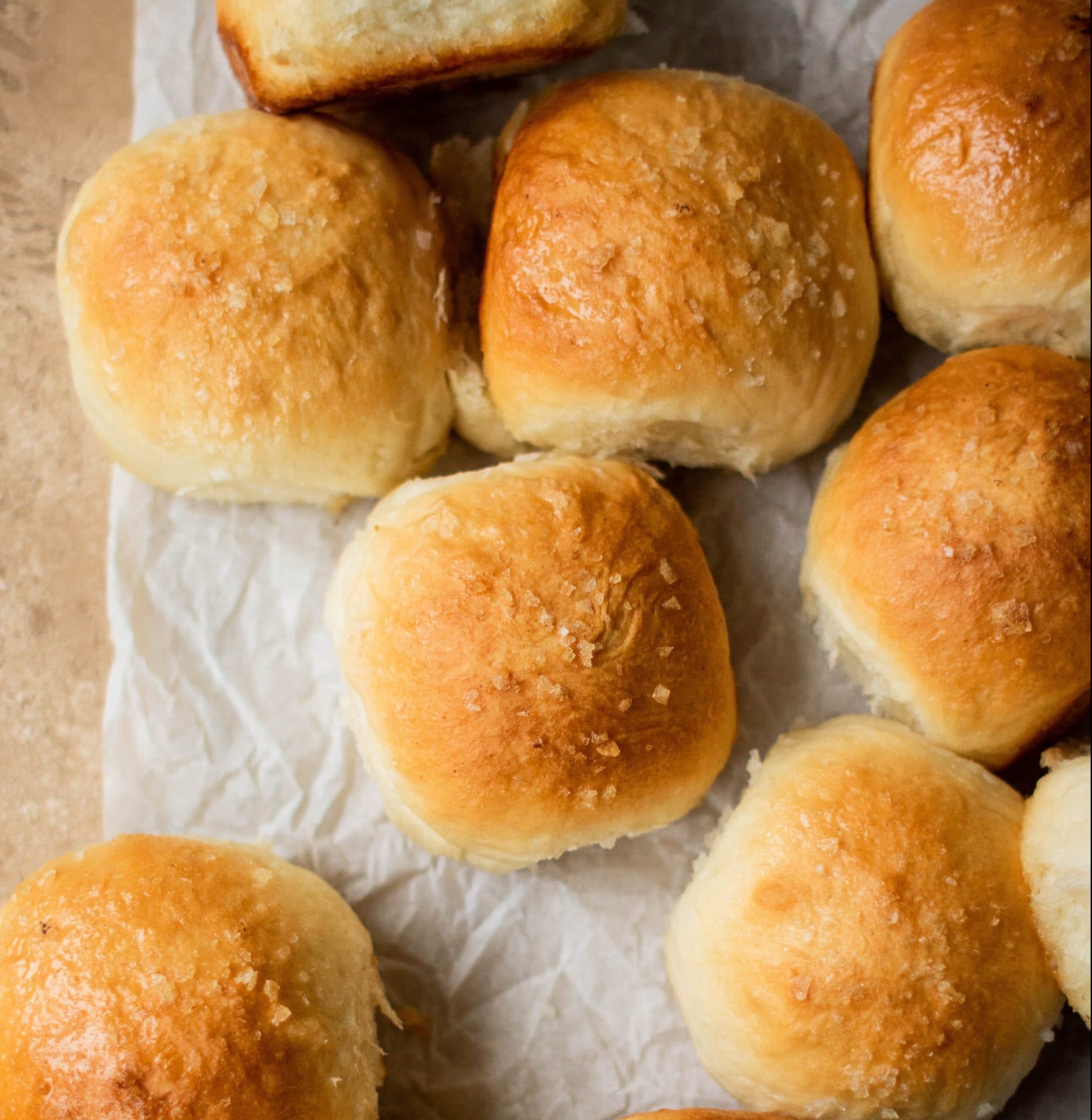 fluffy dinner rolls on parchment paper 