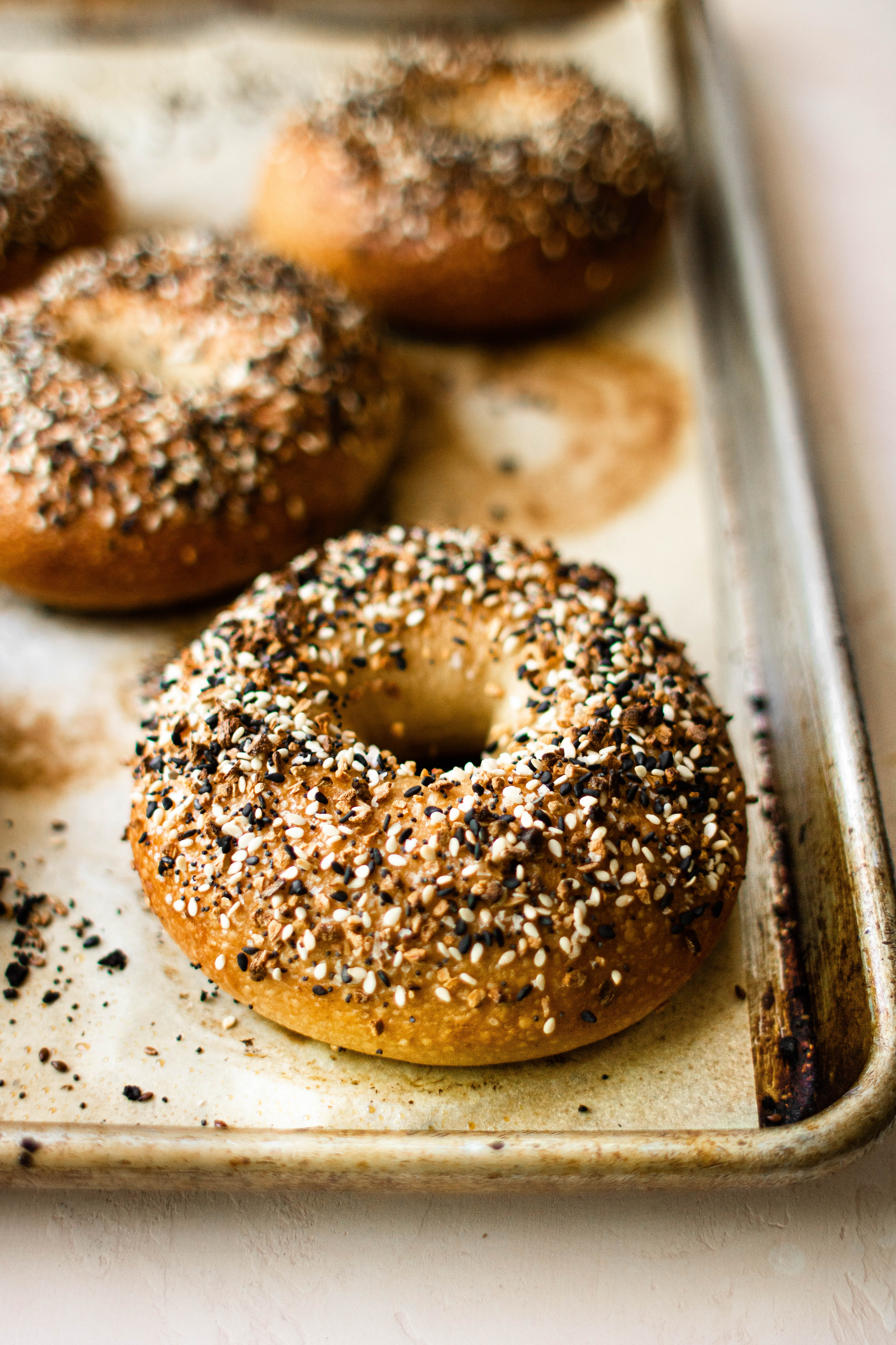 New York style bagels on a baking sheet 