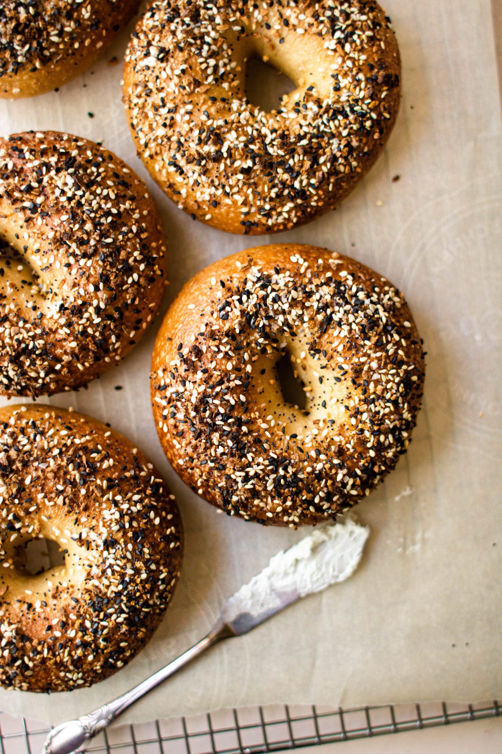New York style bagels with everything seasoning 