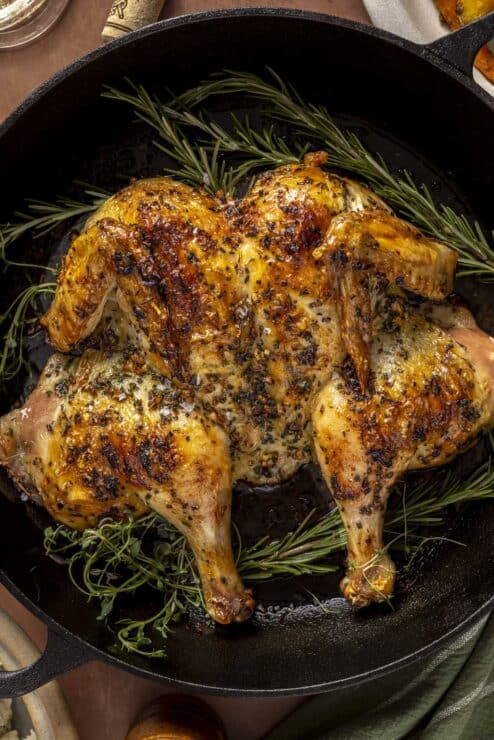 Herb roasted spatchcock chicken