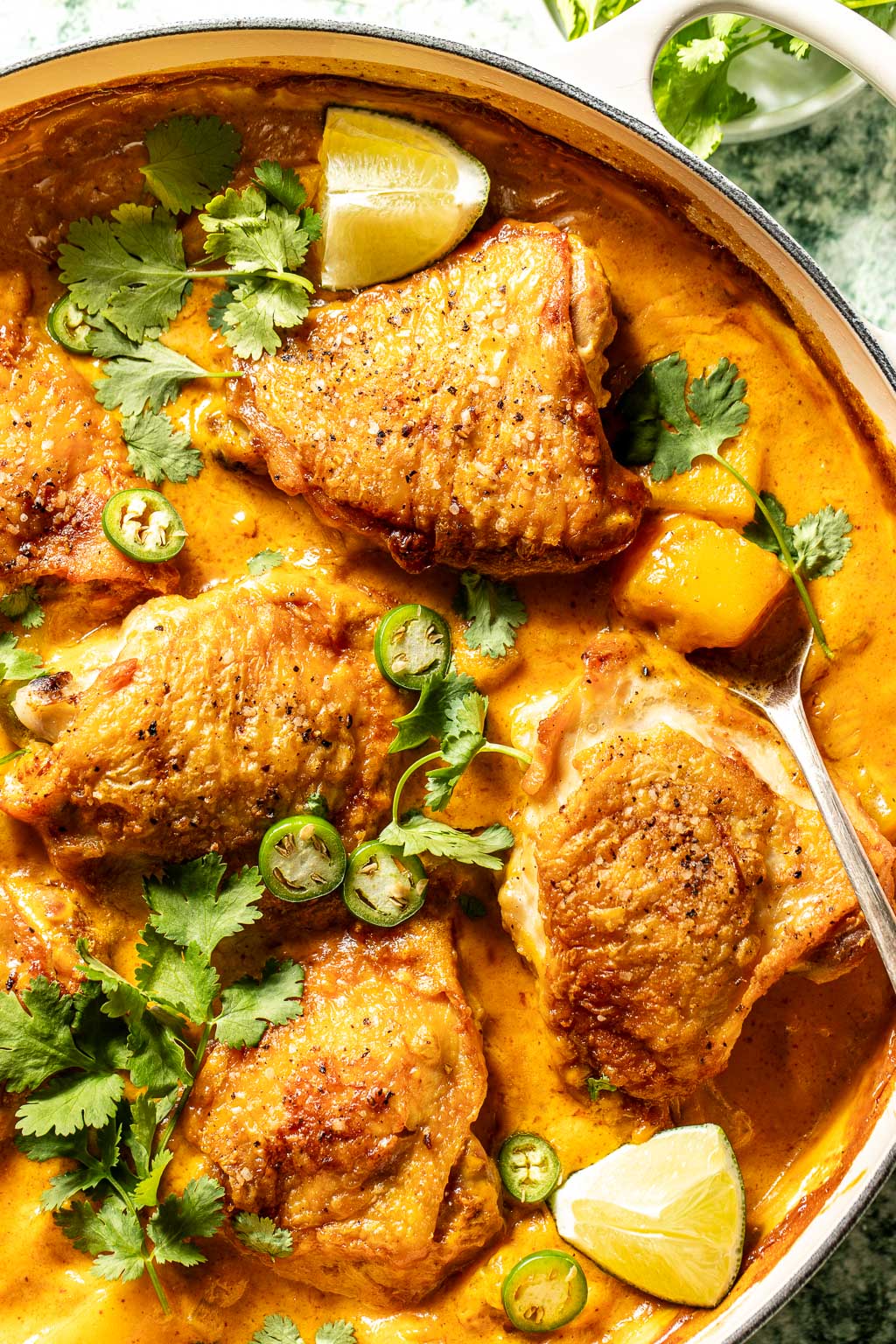 coconut milk braised chicken thighs