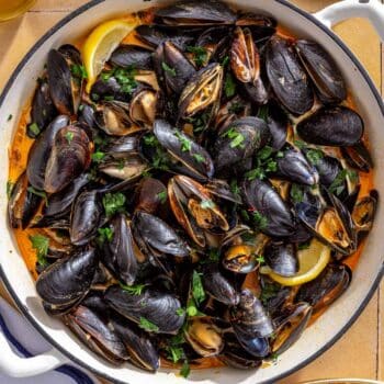 Mussels with chorizo and wine