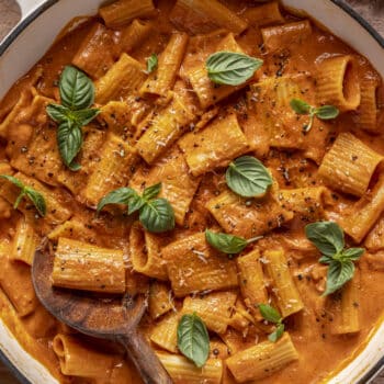 creamy pasta alla vodka