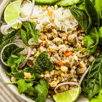 chicken larb recipe - Healthy Dinner Recipes