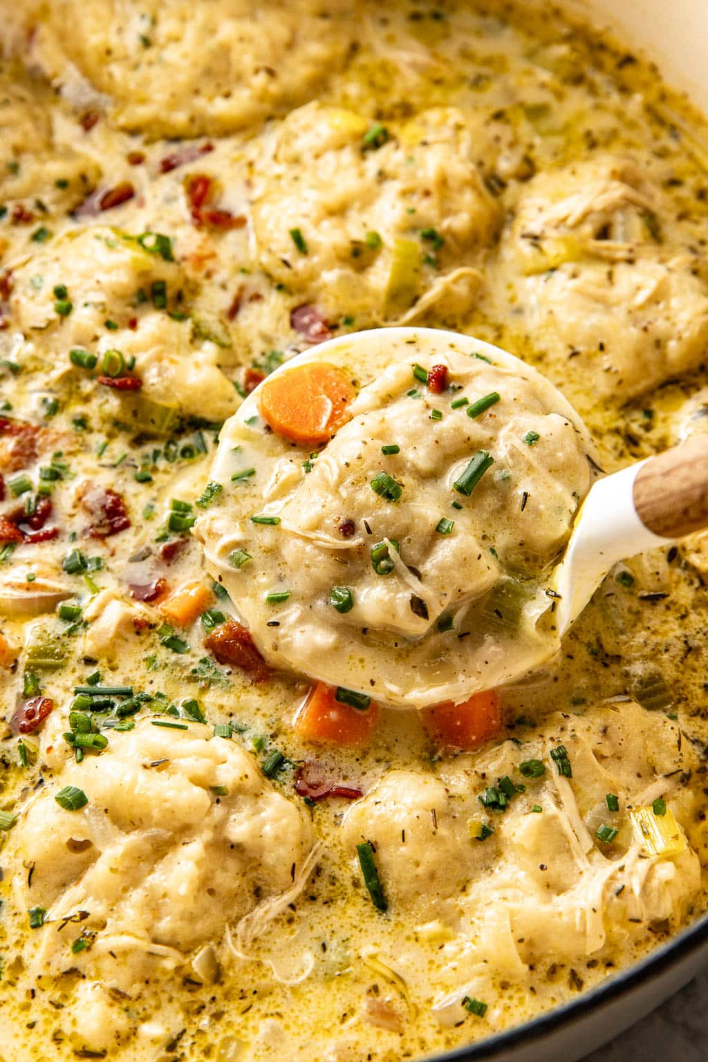 creamy chicken and dumpling soup