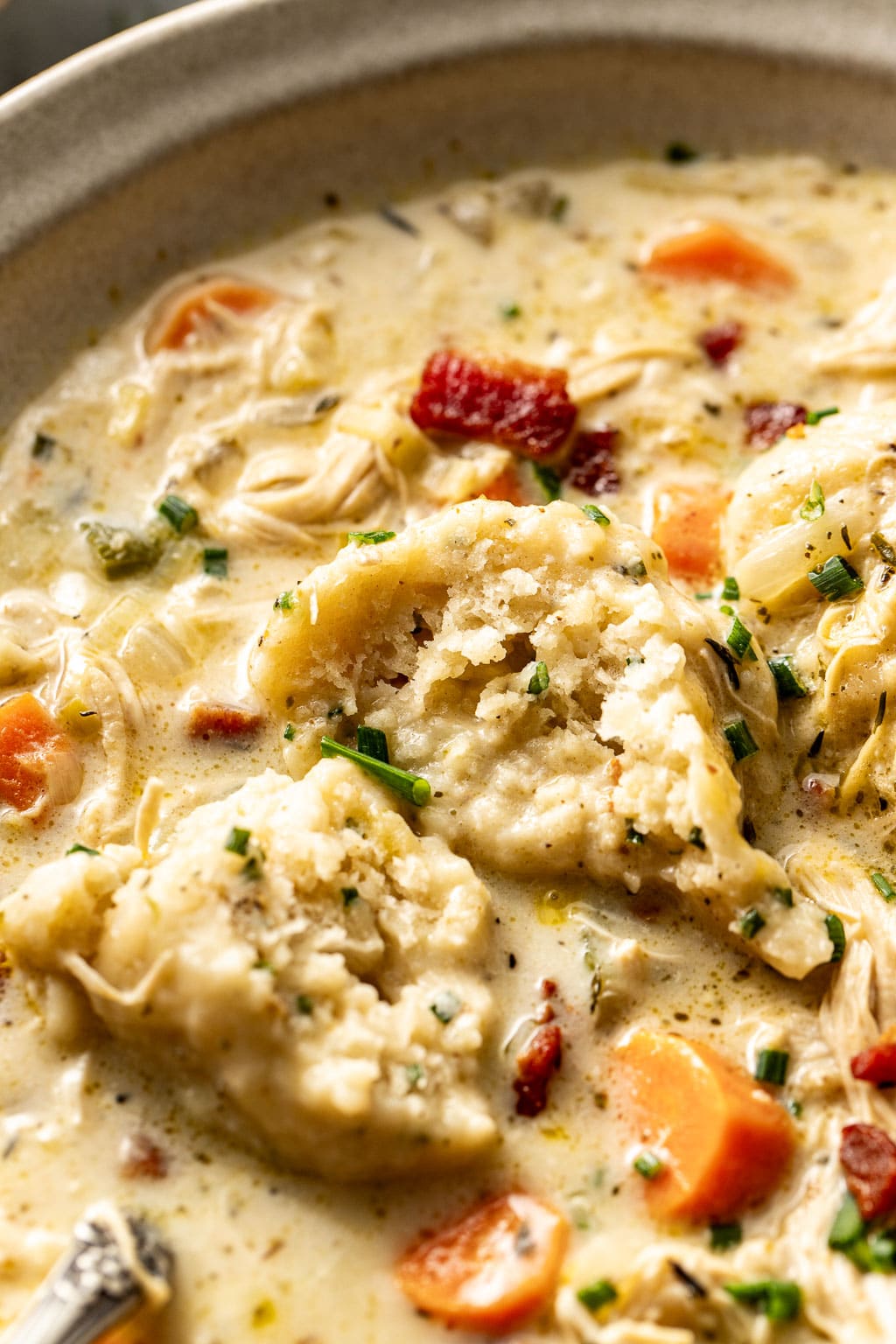 creamy chicken and dumpling soup