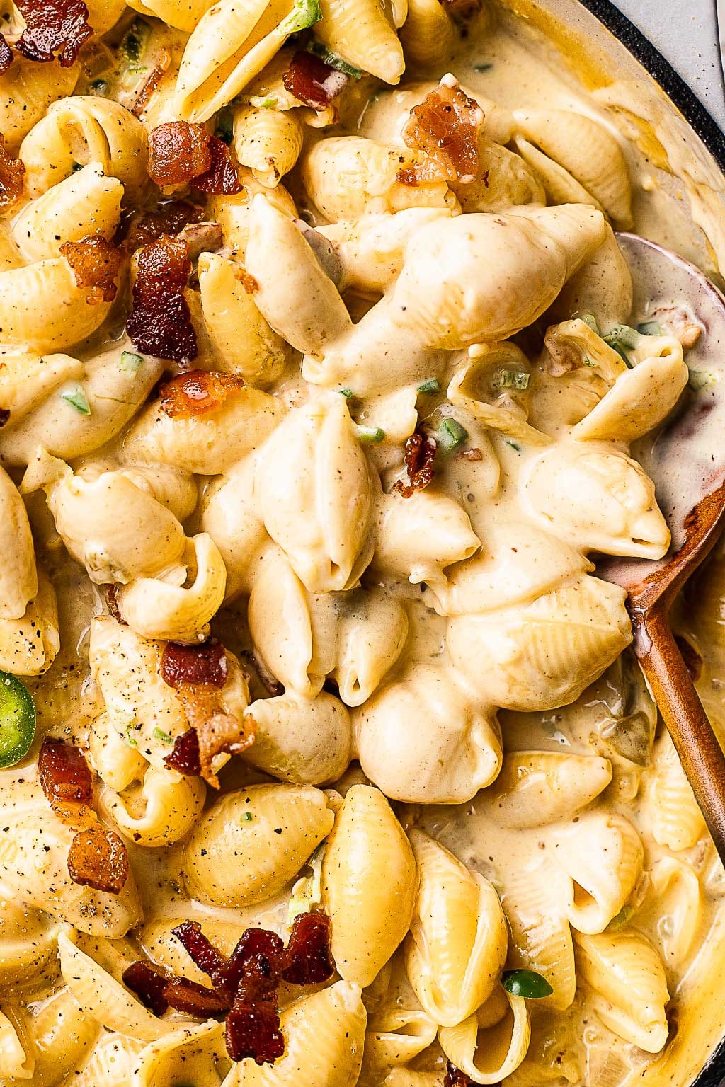 Bacon shells and cheese