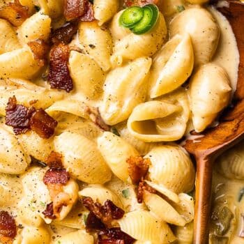 Creamy Shells and Cheese