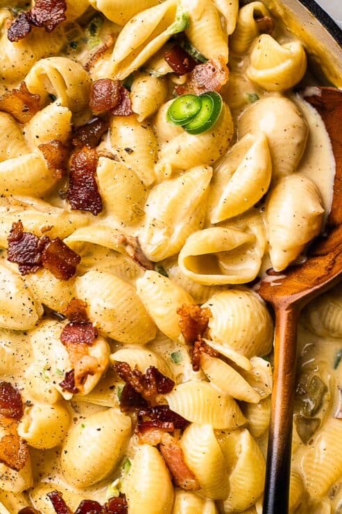 Creamy Shells and Cheese