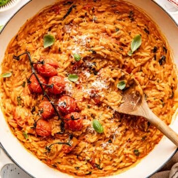 Creamy tomato orzo
