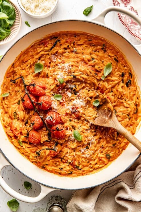Creamy tomato orzo