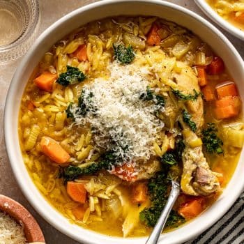 whole chicken orzo soup