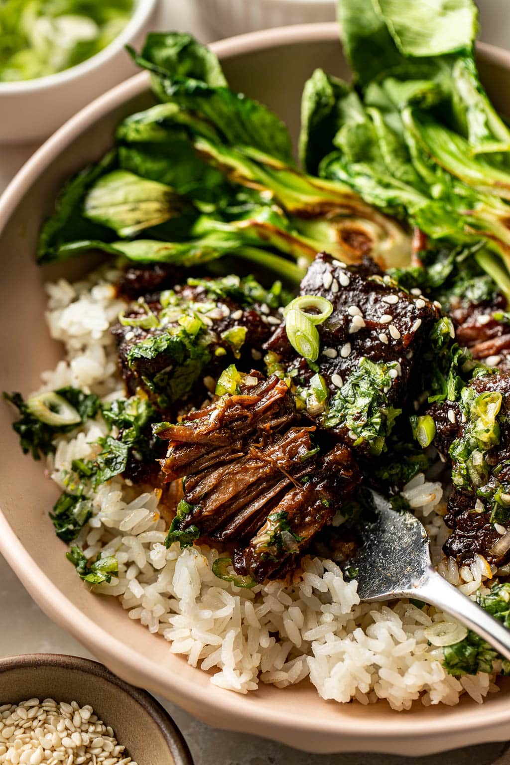 ginger soy braised beef