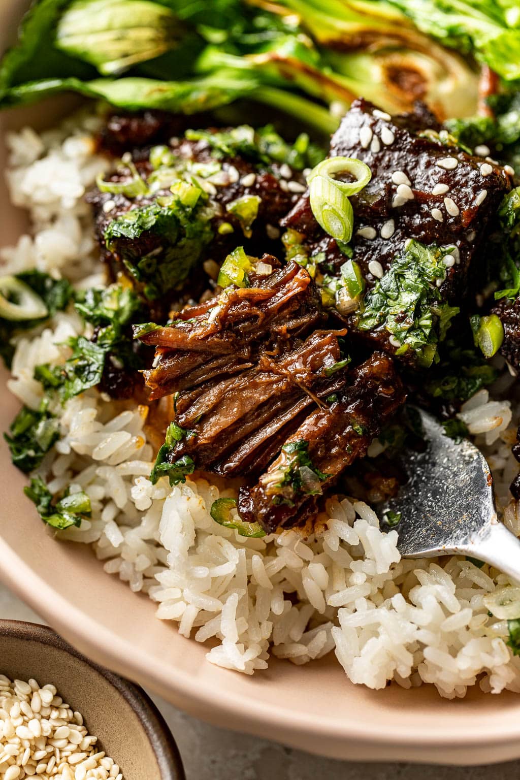 soy braised beef