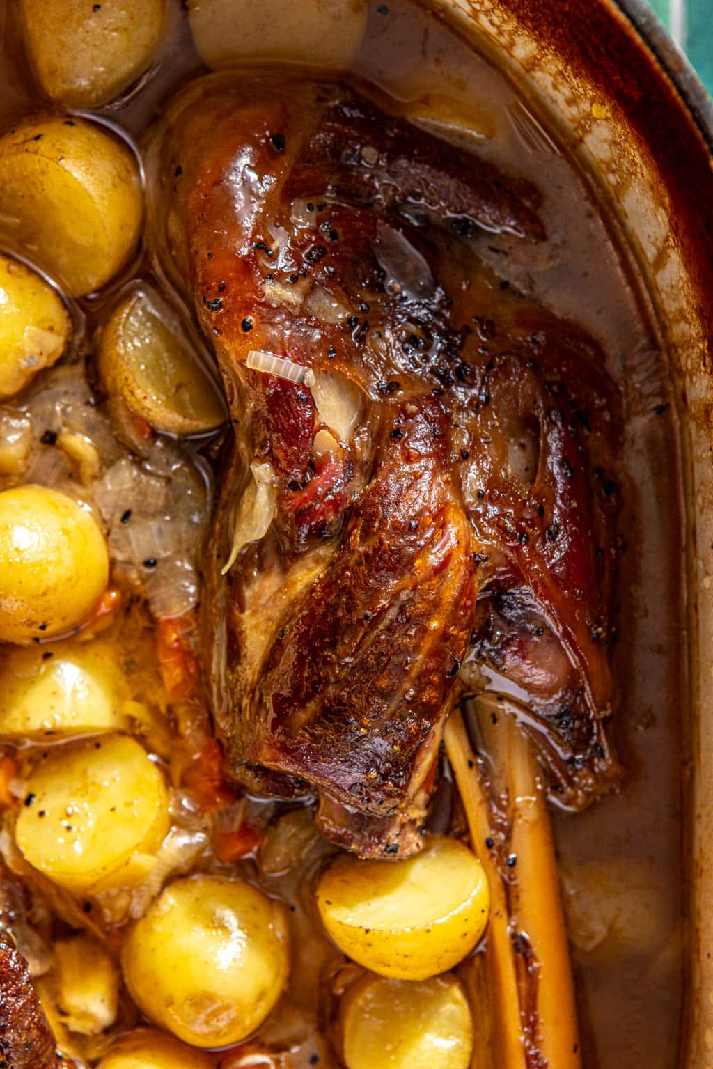 white wine braised lamb shanks